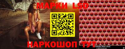 гидропоника Балашиха