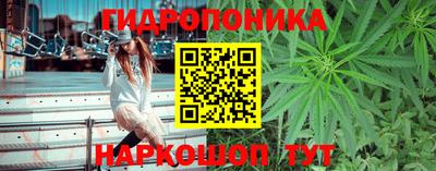 гидропоника Балашиха