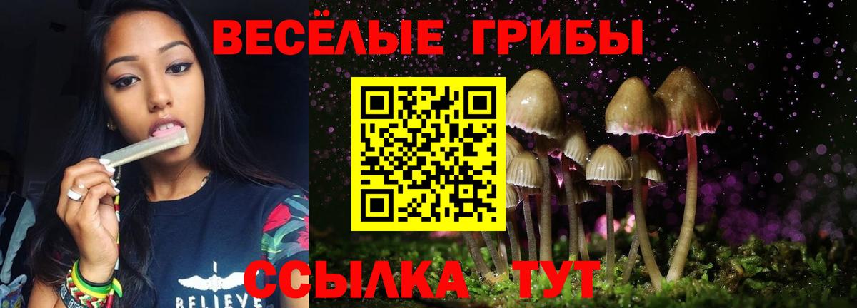 Димитровград  Псилоцибиновые грибы Magic Shrooms  Вход с VPN  Псилоцибиновые грибы GOLDEN TEACHER 